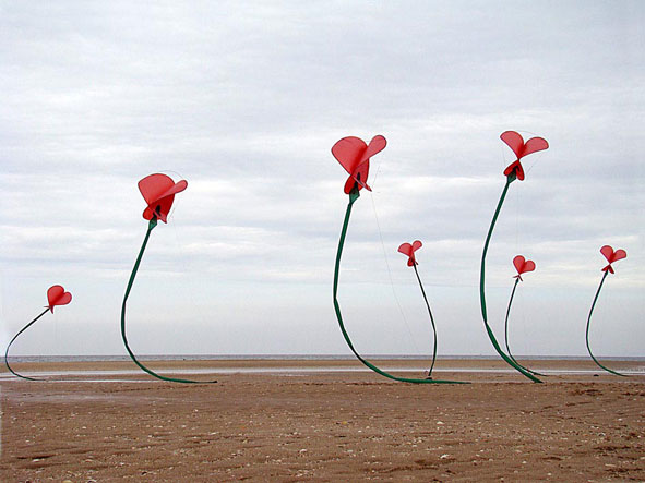 67 - Les Coquelicots 67 - Les Coquelicots